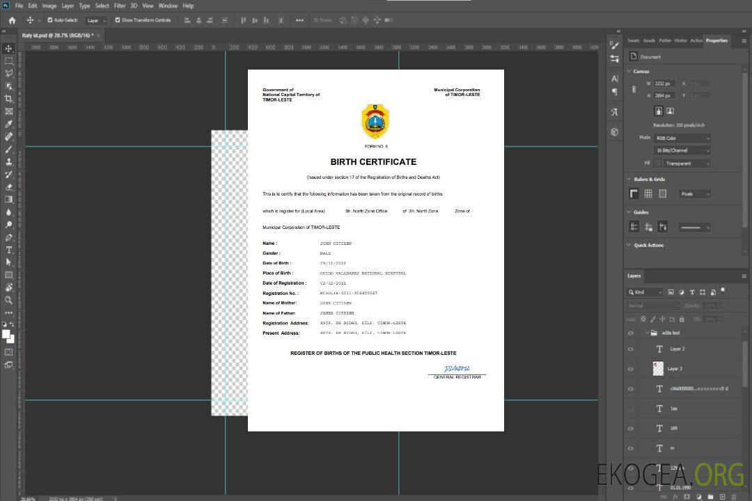 Modèle Word et PDF d'acte de naissance du Timor-Leste template